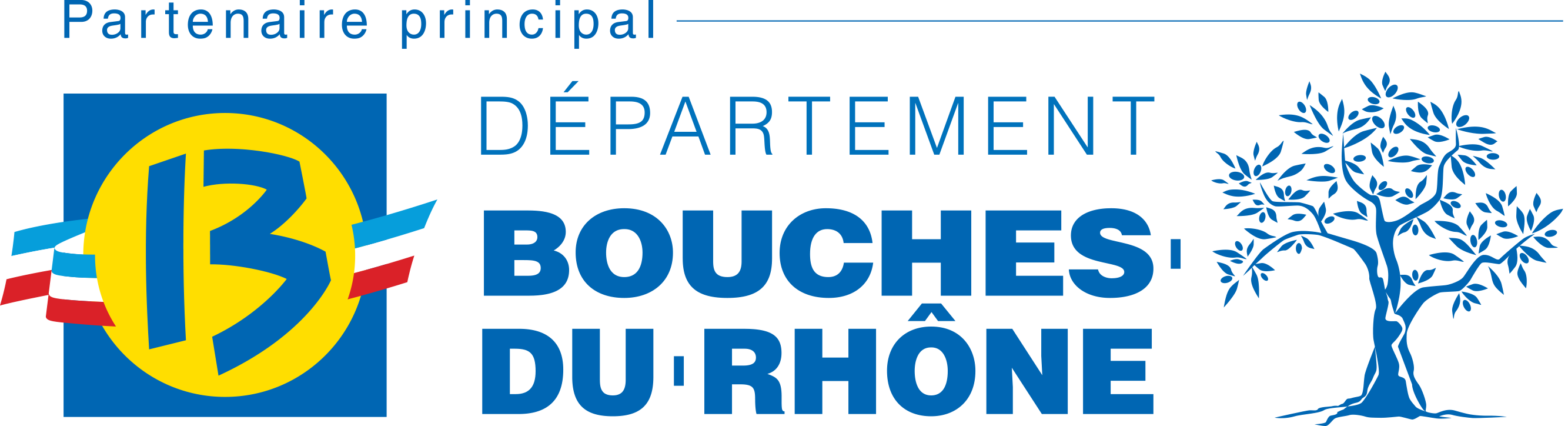 Conseil Départemental des Bouches du Rhône CD13